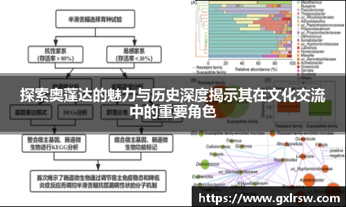 探索奥蓬达的魅力与历史深度揭示其在文化交流中的重要角色